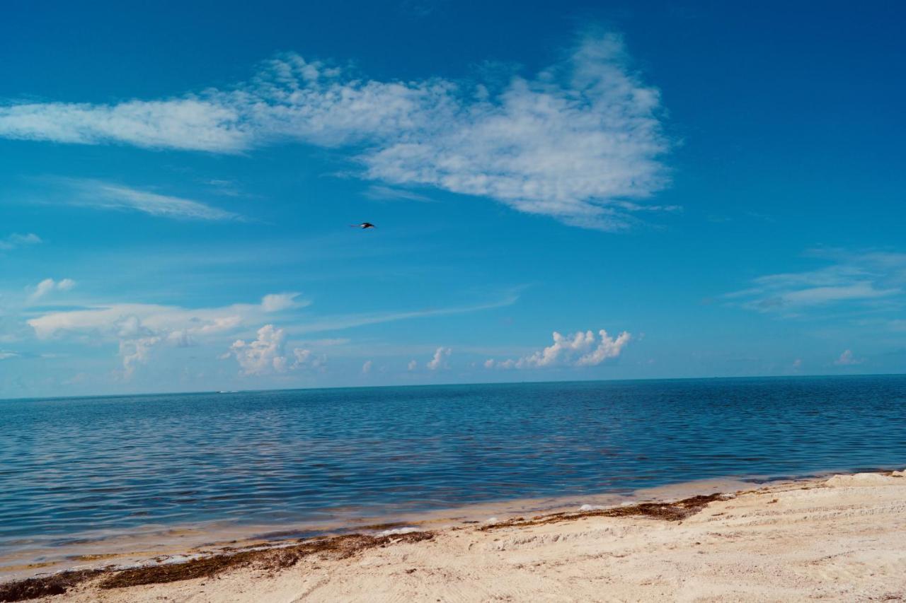 Deer Run On The Atlantic Bed & Breakfast Big Pine Key Exterior photo
